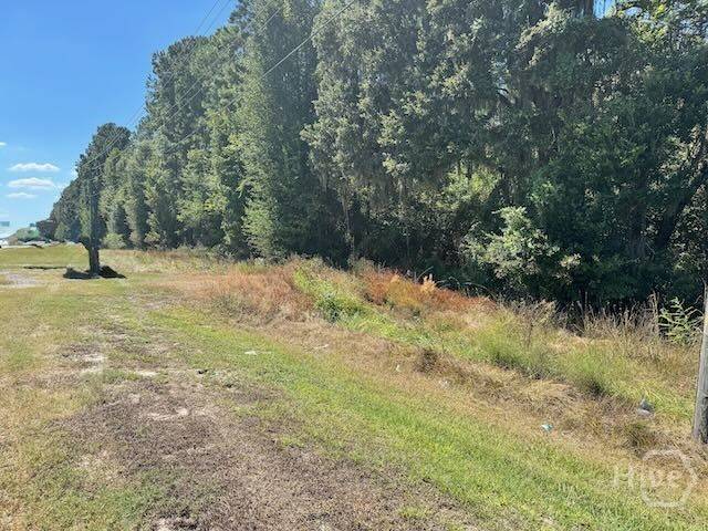 0 Hwy 17 S, Richmond Hill, GA 31324 — photo 2 of 9