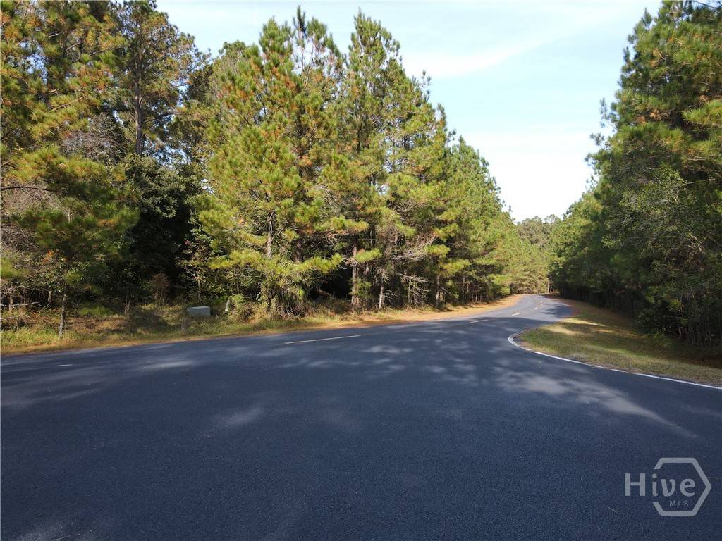 Lot 45 NE Marsh WAY W, Townsend, GA 31331 — photo 15 of 15