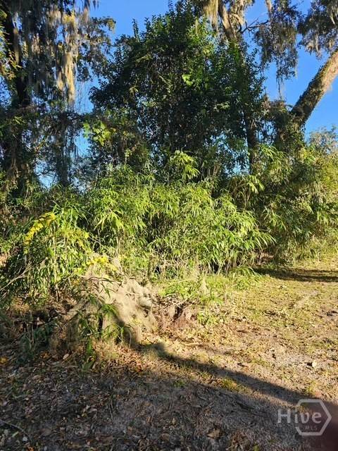 0 WHITEFIELD, Savannah, GA 31406 — photo 1 of 3