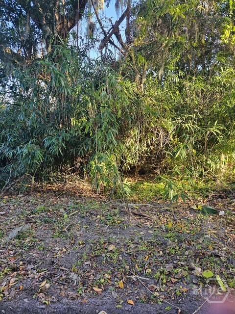 0 WHITEFIELD, Savannah, GA 31406 — photo 3 of 3