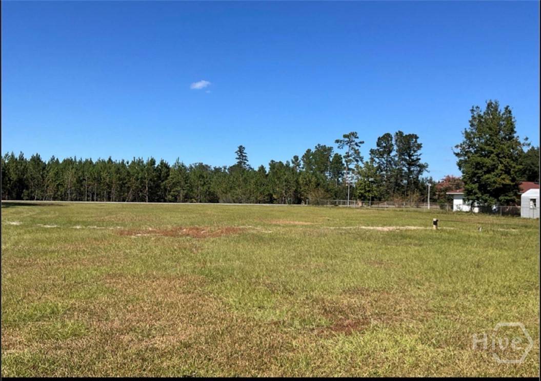 749 Sand Hill RD, Guyton, GA 31312 — photo 1 of 2