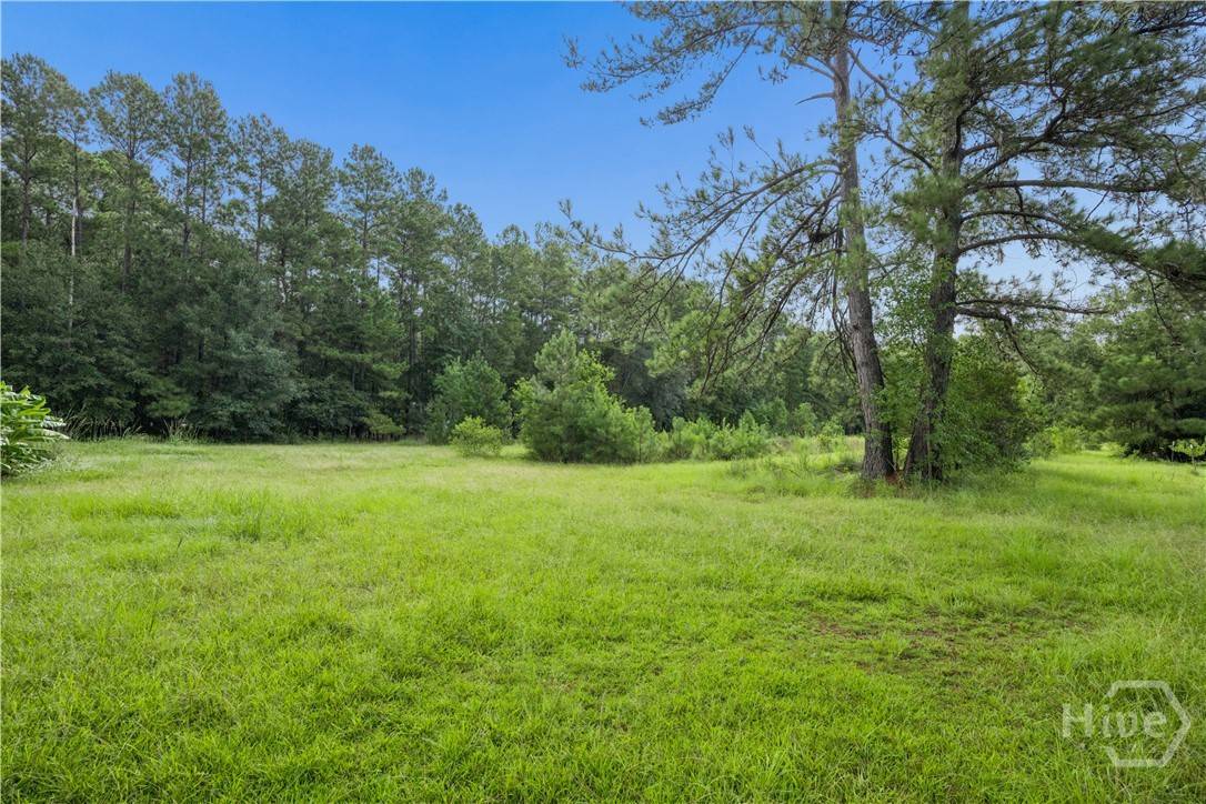 426 Adams RD, Bloomingdale, GA 31302 — photo 56 of 56